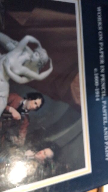 Irish paintings album book