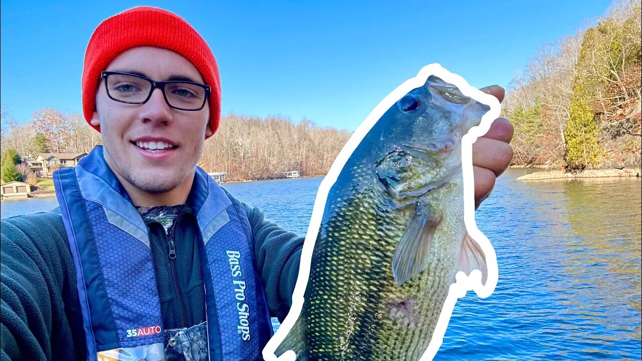 Bass LOVE The Dropshot! | Catch Fish ALL YEAR