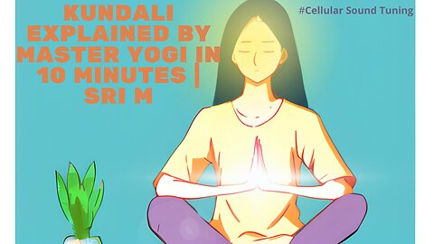 Kundali Explained By Master Yogi In 10 Minutes _ Sri M