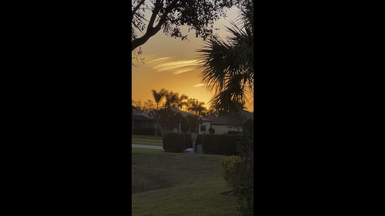 Sunset In Paradise 1/18/2023 #Sunset #SWFL #Paradise #FYP #mywalksinparadise