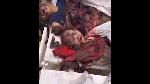 Israel Genocide in Gaza part infinity ♾️