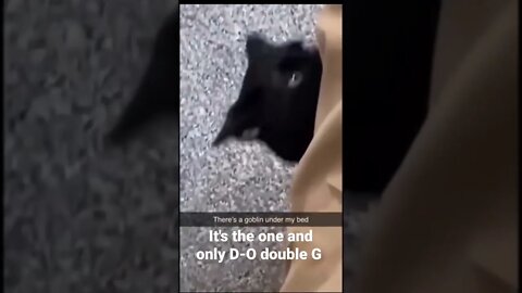 MEME is the one and only D-O double G #shorts