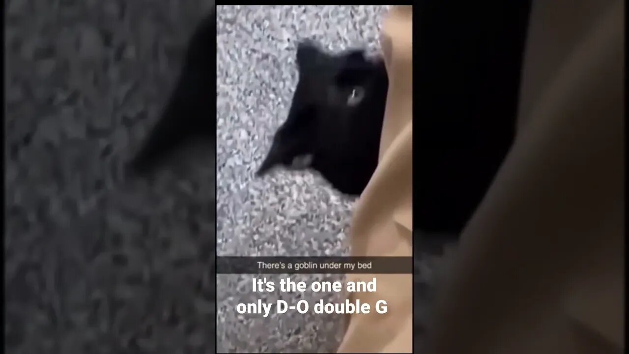 MEME is the one and only D-O double G #shorts