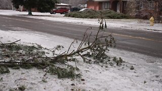 Winds and falling ice could mean trouble for Mason residents