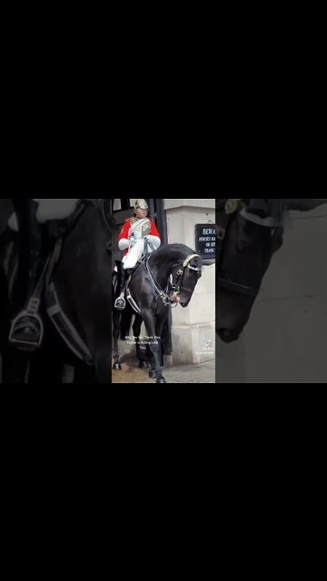 horses restless #horseguardsparade