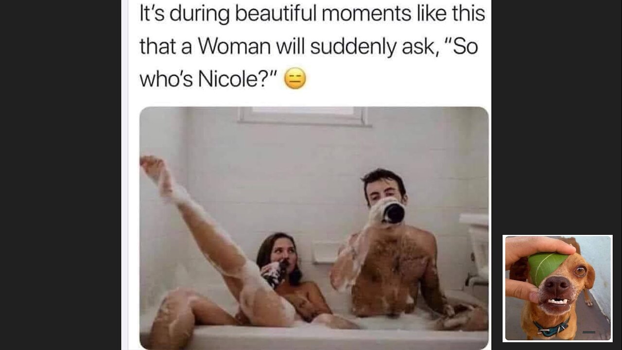 Memes That Will 99.984% Make You Laugh. (e209)