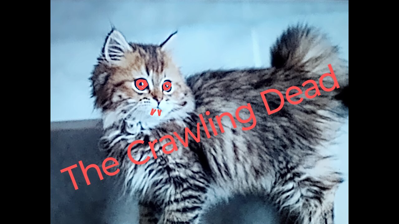 (The Crawling Dead) Episode1 Fear the Hissing Dead