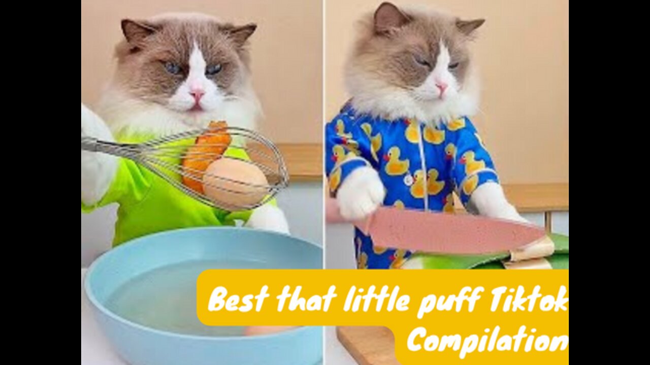 Best That little Puff ASMR compilation