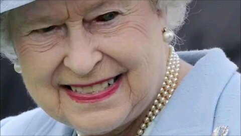 Draco Queen Lizzie 🦎