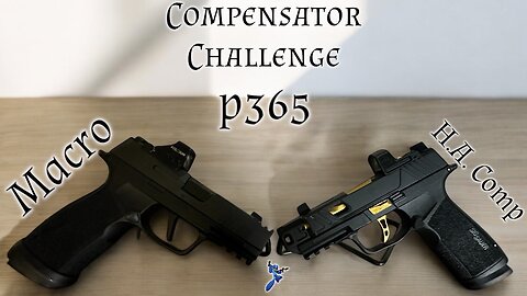 Compensator Challenge p365 Macro vs p365 Herrington Arms Comp