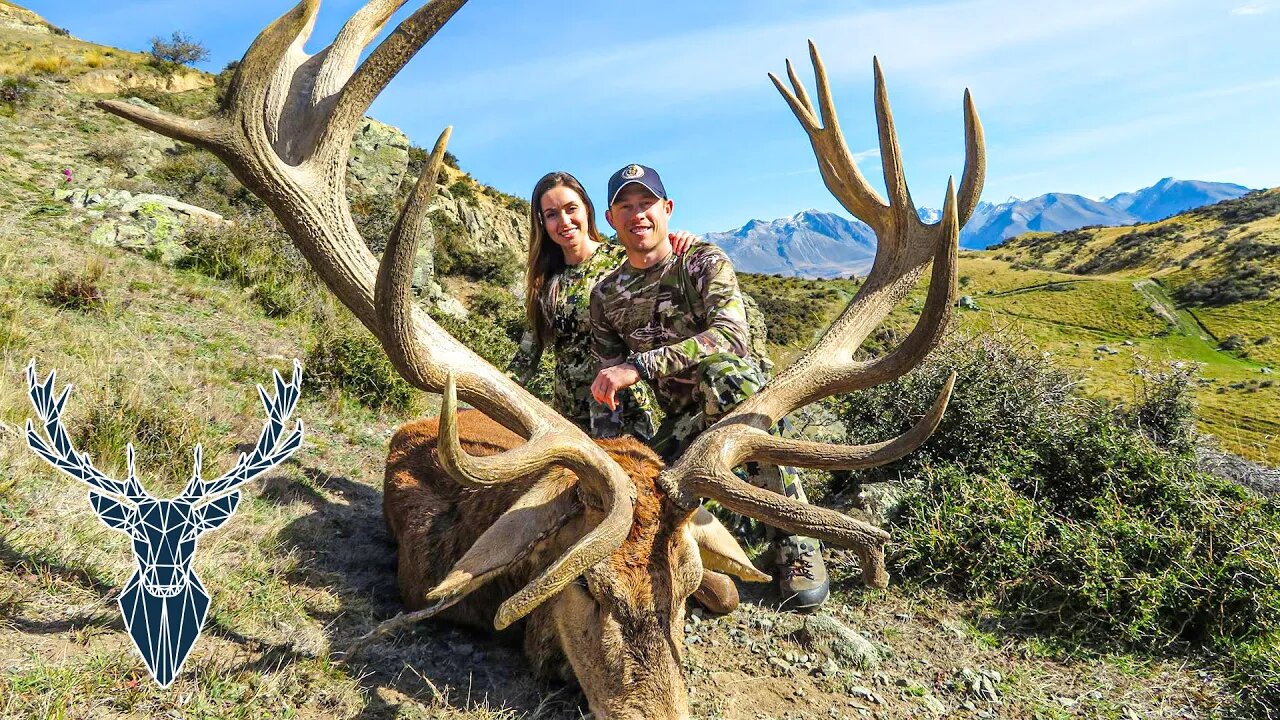 New Zealand Red Stag, Tahr and Fallow Deer