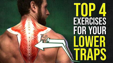 Top 4 Lower Trapezius Exercises for Better Shoulder Posture & Function