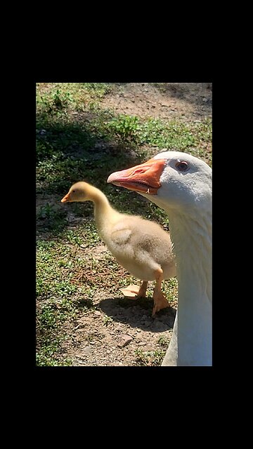 Living My Best Life #Farmlife