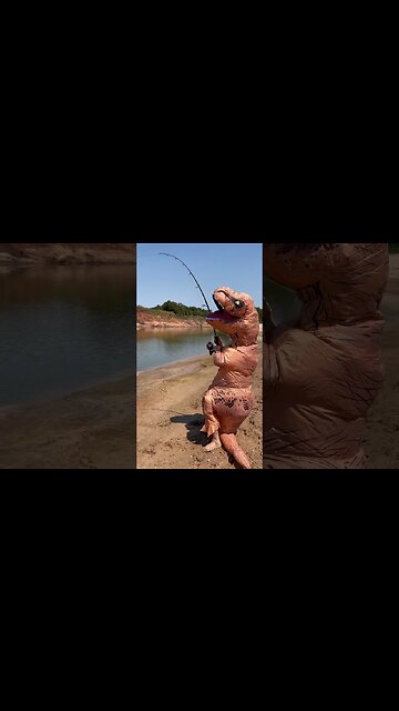 Tagging Alligator Gar In Texas