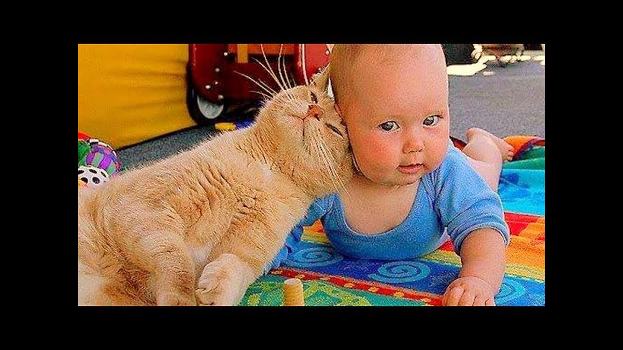 Baby and Cat Fun and Cute - Funny Baby Video