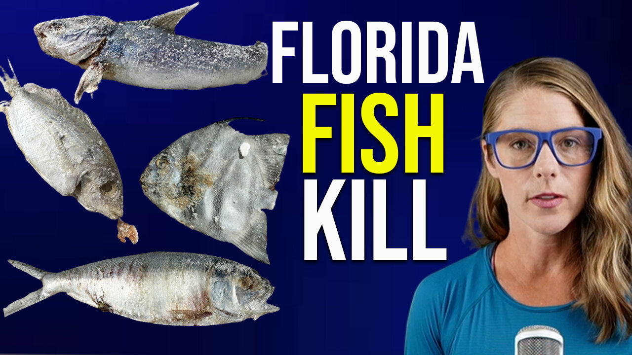 Tons of dead fish on Florida beaches || Dr. Chip Abrahamsen