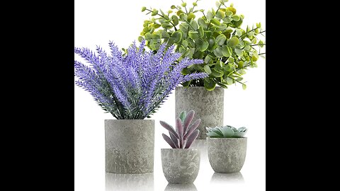 Artificial plants and flowers