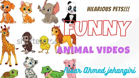 Funny Rabbits 🐰 video