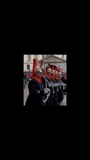 carry swords #horseguardsparade