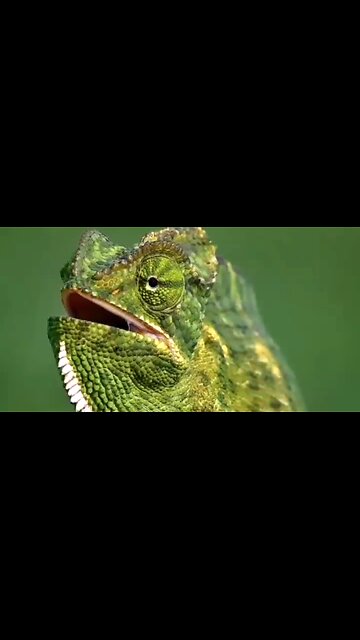 CONQUERING ENVY - DAILY DEVOTIONAL ❤️