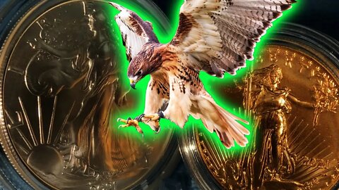 ALERT! Gold & Silver FALL! The Hawk Swoops In To STRIKE! Who Is The HAWK?