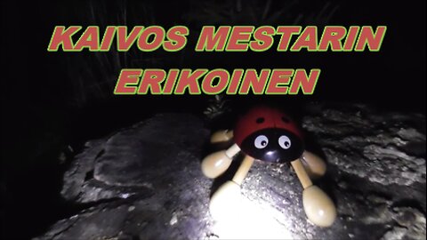 Kaivos mestarin erikoinen