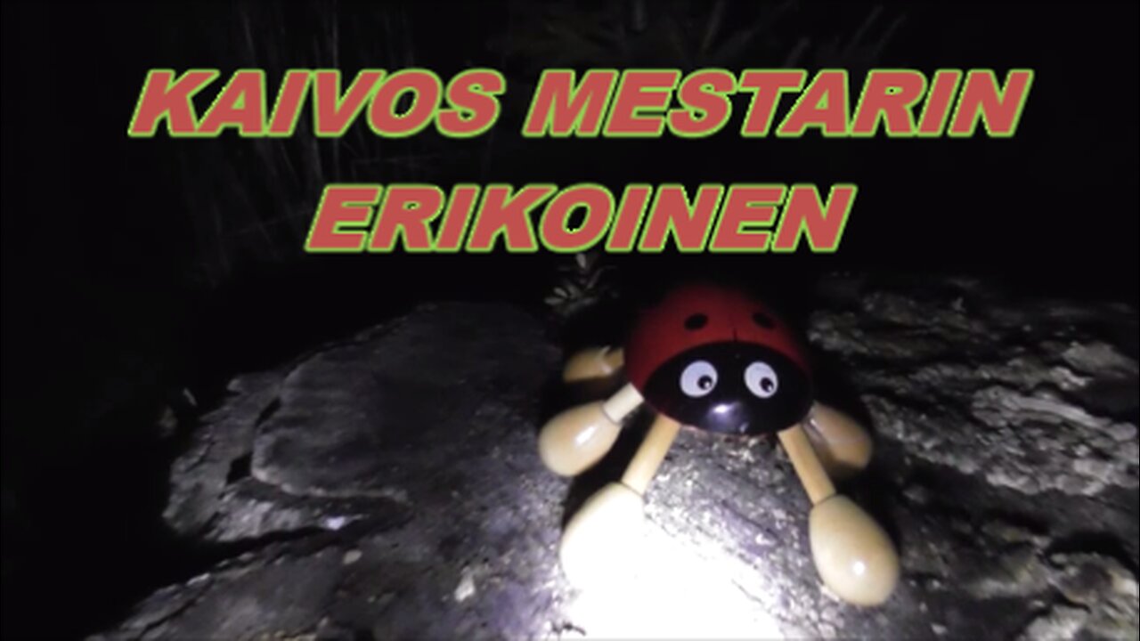 Kaivos mestarin erikoinen