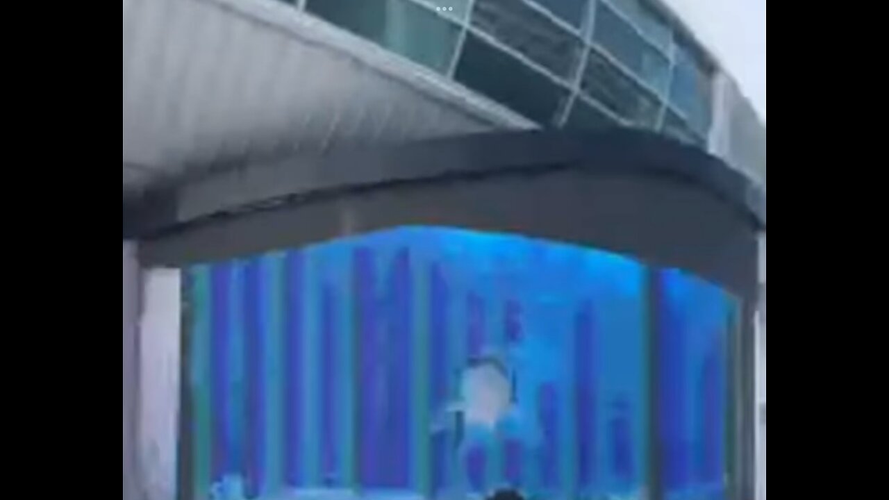 Shark attacks glass wall