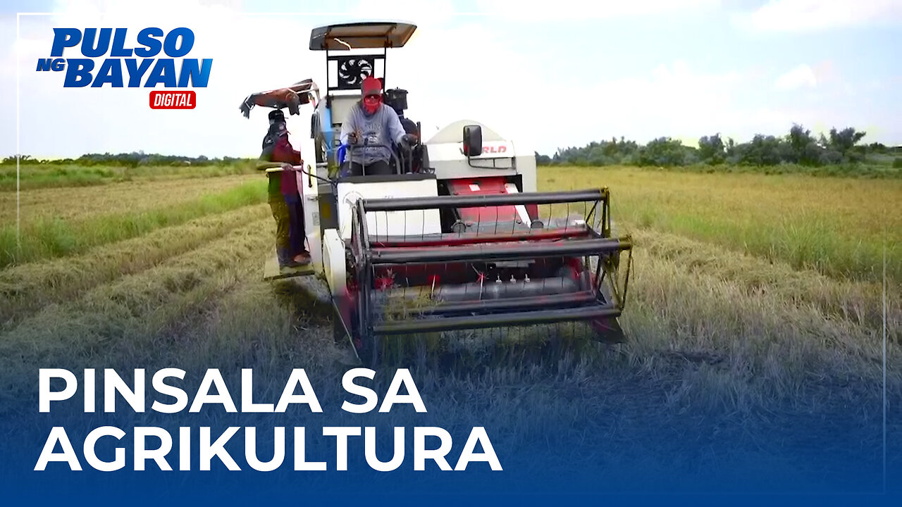 Pinsala sa agrikultura dahil sa Habagat at bagyong Carina, umabot na sa P157-M - DA