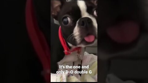 It's the one and only D-O double G #shorts