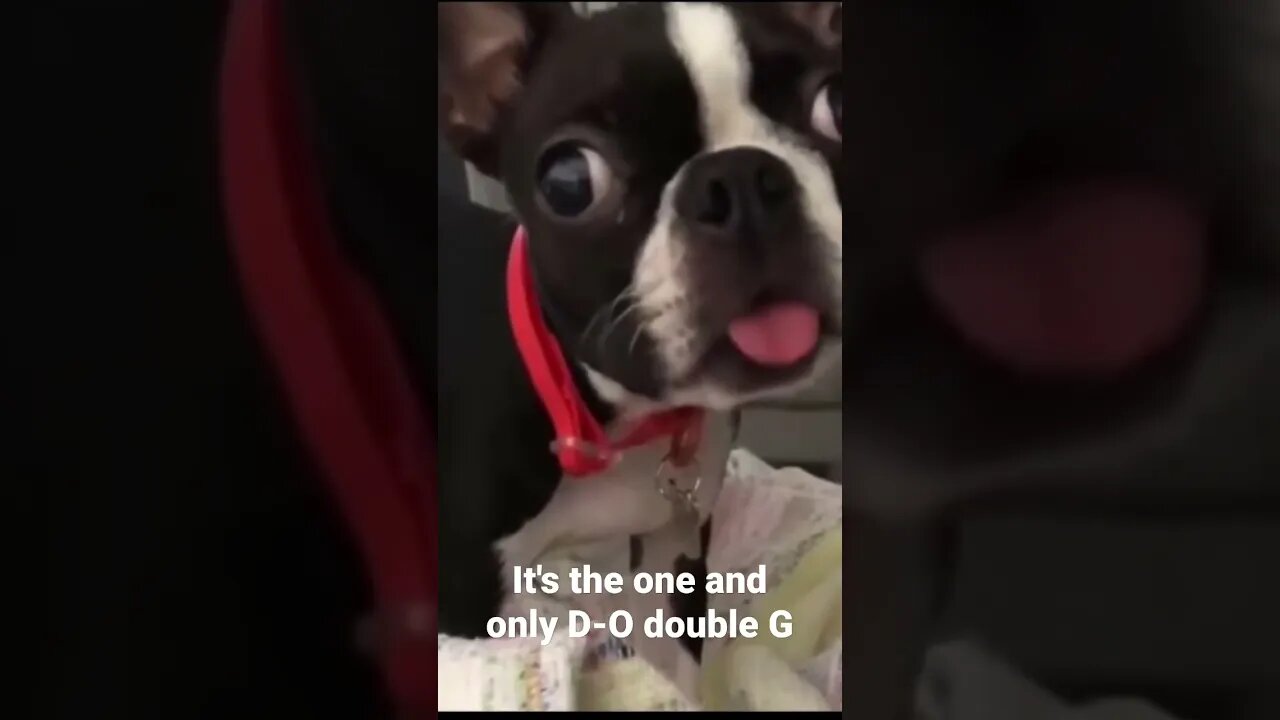 It's the one and only D-O double G #shorts