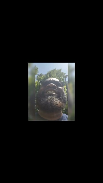 What was in the Little Free Library?