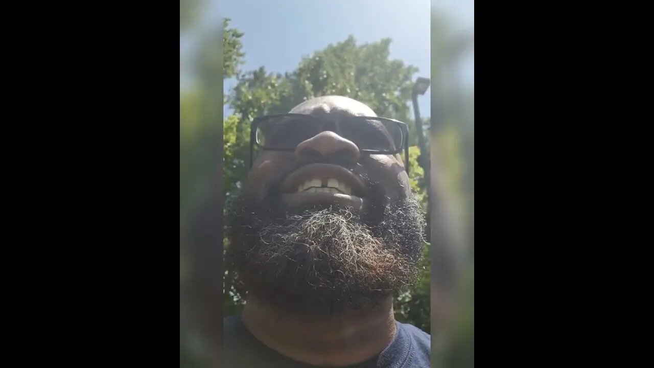 What was in the Little Free Library?