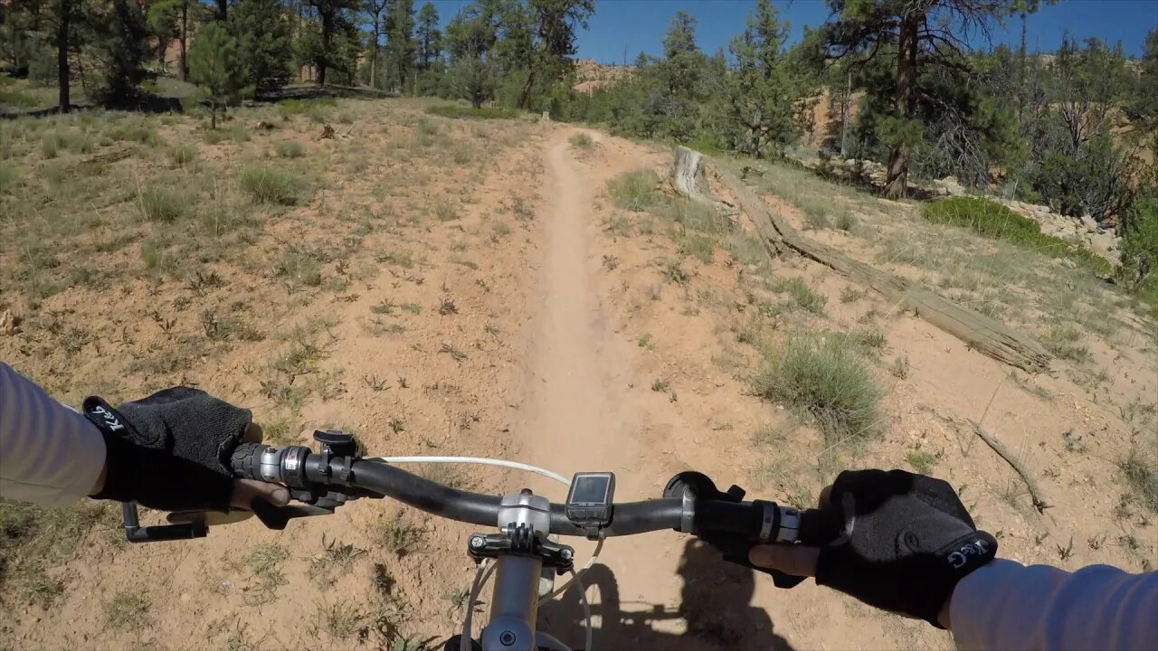 Mountain Biking Red Canyon Trails in Panguitch, Utah