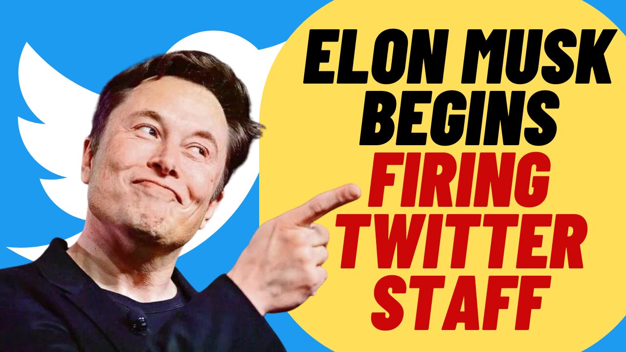 The Twitter Purge Has Begun! Elon Fires Twitter Employees