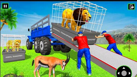 Animal and Pets 3D Gaming on Rumble