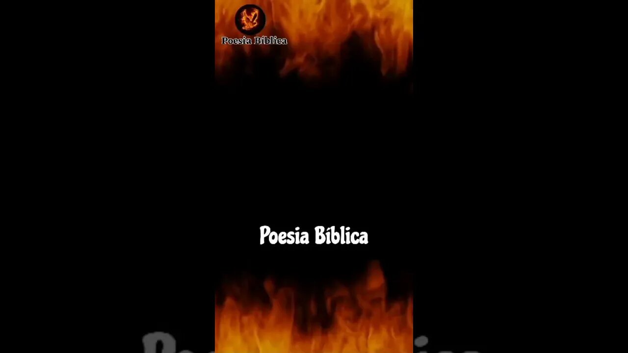 🌟A CRUZ SAGRADA✝️SEJA A MINHA LUZ✨ORAÇÃO SÃO BENTO🕊️🙏✝️