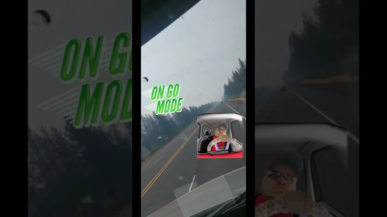 Trucker on Go mode
