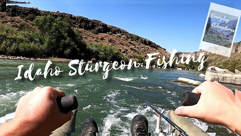 Idaho Sturgeon Fishing (Pontoon)