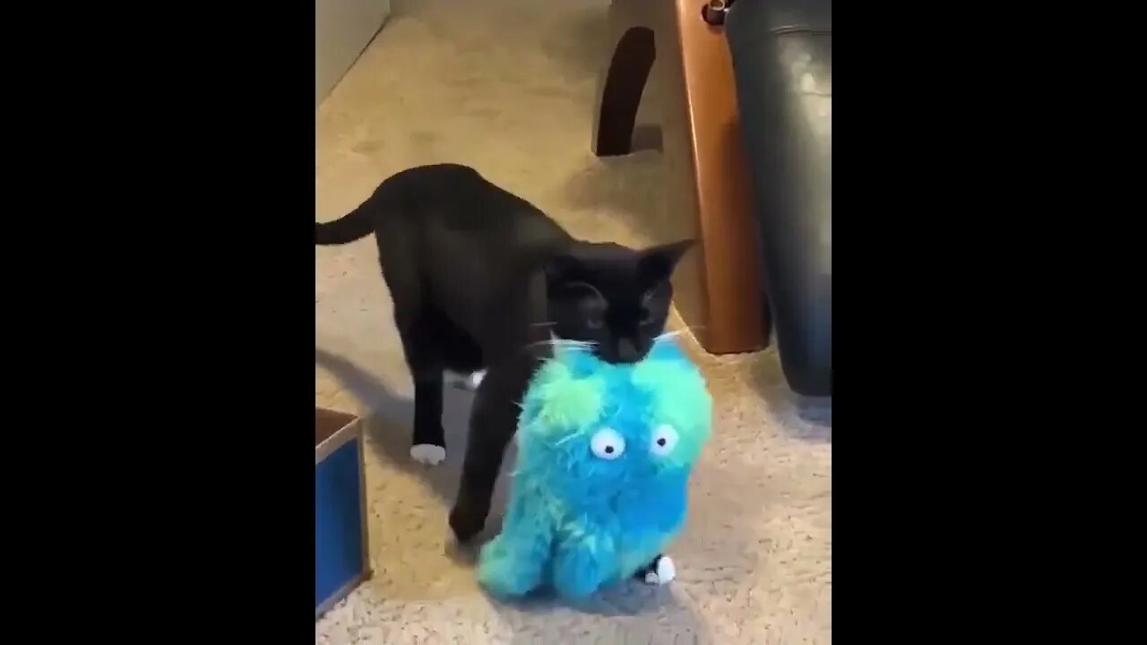She hunted & brought you the prize