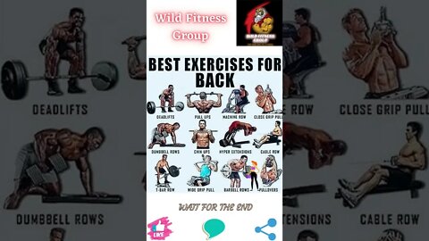 🔥Best exercises for back🔥#shorts🔥#wildfitnessgroup🔥17 July 2022🔥