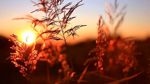 sunset gress view