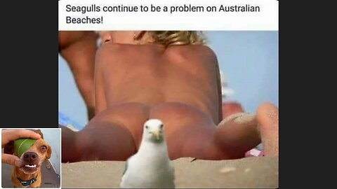 Memes That Will 99.812% Make You Laugh. (e37)