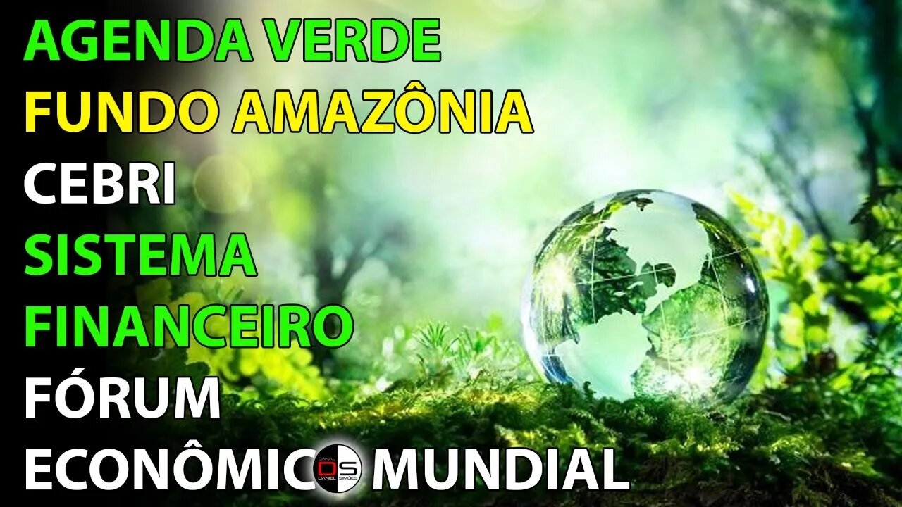 Agenda Verde, Fundo Amazônia, CEBRI, Sistema Financeiro Mundial e Fórum Econômico Mundial