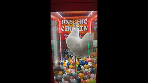 Psychic Chicken 🐓