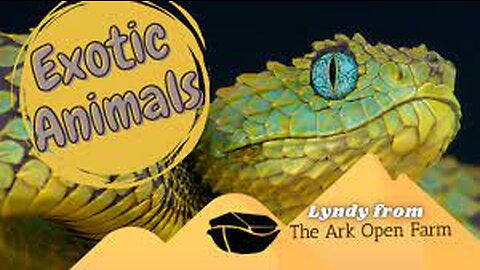 Exotic Pets !!!
