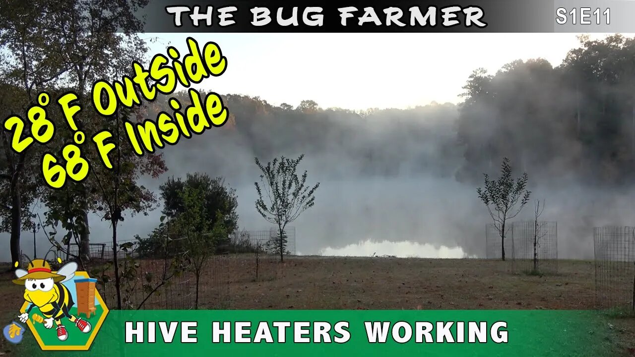 Beehive Heater Update -- The Internal beehive heaters are working. All bees are warm on a cold night