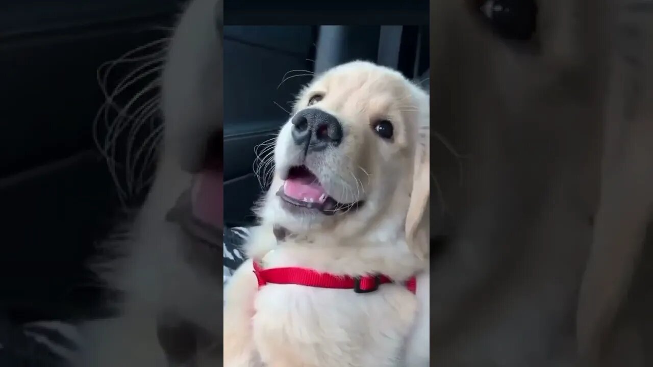 Hey I am a Healer ! , # short