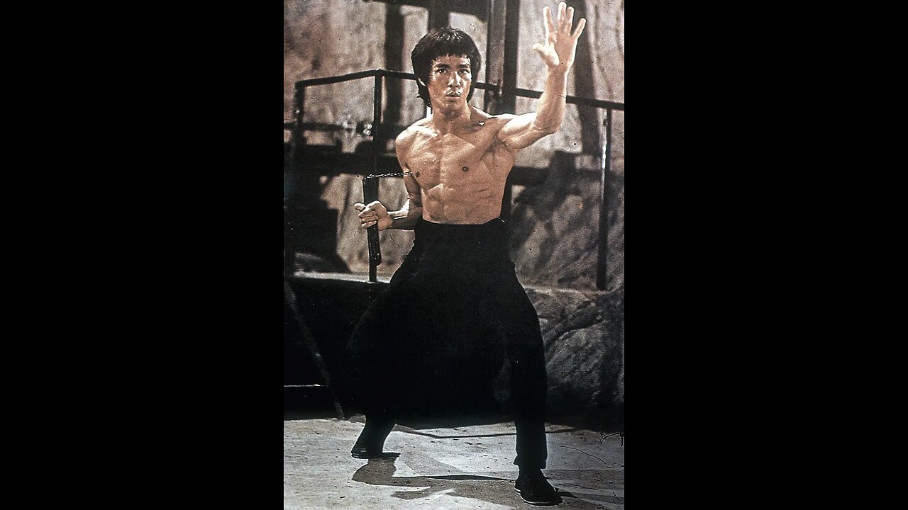 AS REVISTINHAS DO BRUCE LEE