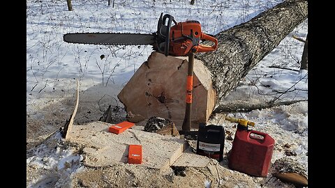 Felling Technique & Face cut "Angles" and Effect on Fiber Pull With East Coast Hard Wood Harvesting